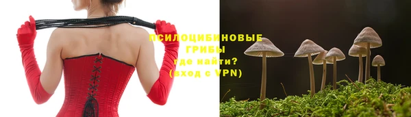 ГАЛЛЮЦИНОГЕННЫЕ ГРИБЫ Алексеевка