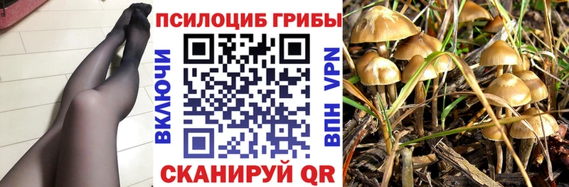 Галлюциногенные грибы Magic Shrooms  наркота  Ачхой-Мартан 